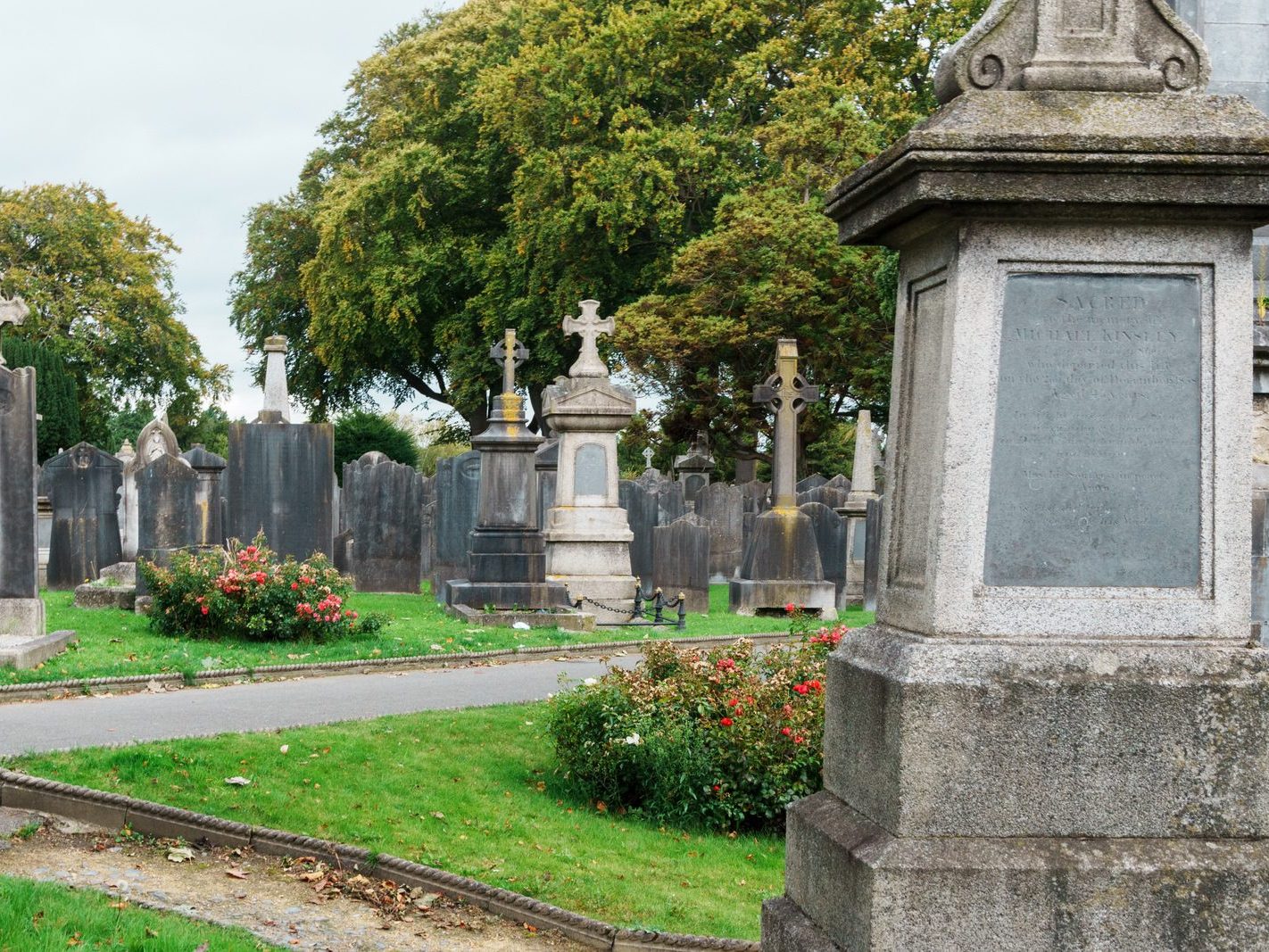 GLASNEVIN CEMETERY OCTOBER 2024 [THE GARDEN SECTION AND NEARBY]-242076-1