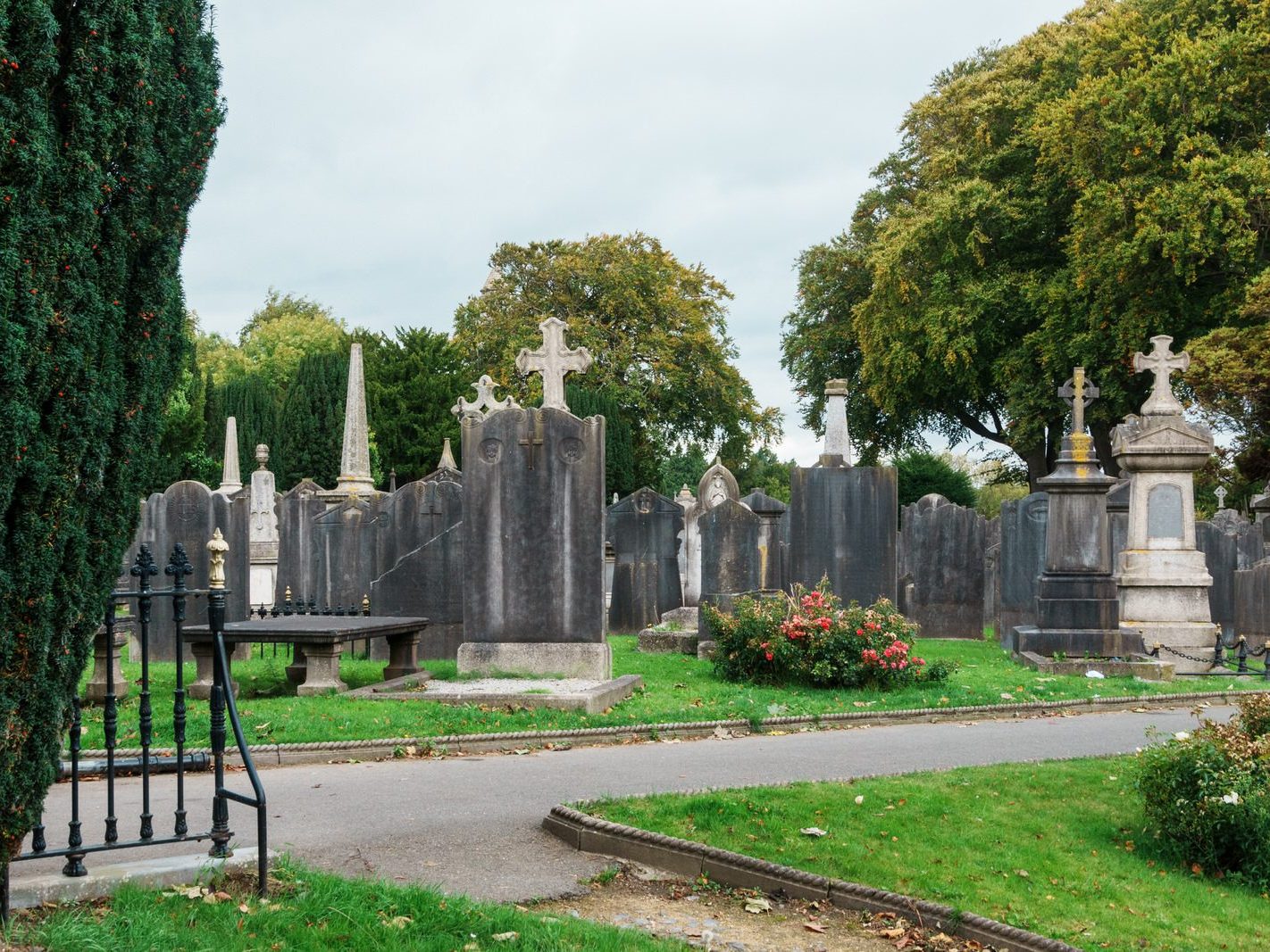 GLASNEVIN CEMETERY OCTOBER 2024 [THE GARDEN SECTION AND NEARBY]-242077-1