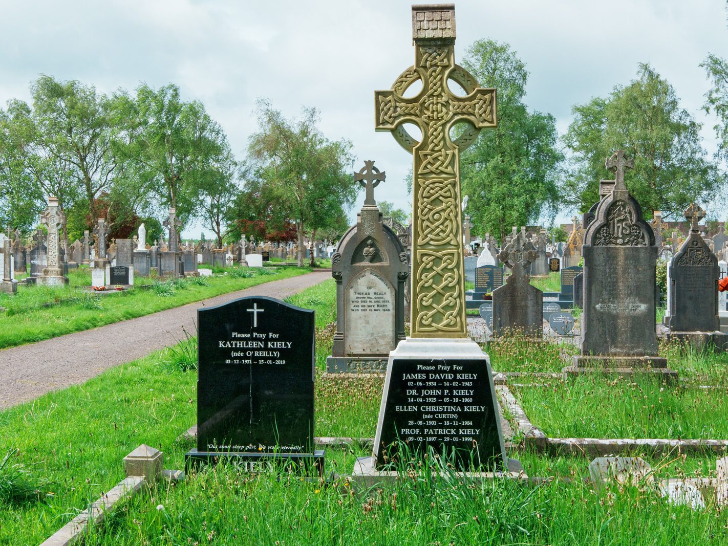 EXAMPLES OF THE CELTIC CROSS [ST. FINBARR'S CEMETERY IN CORK CITY] 001