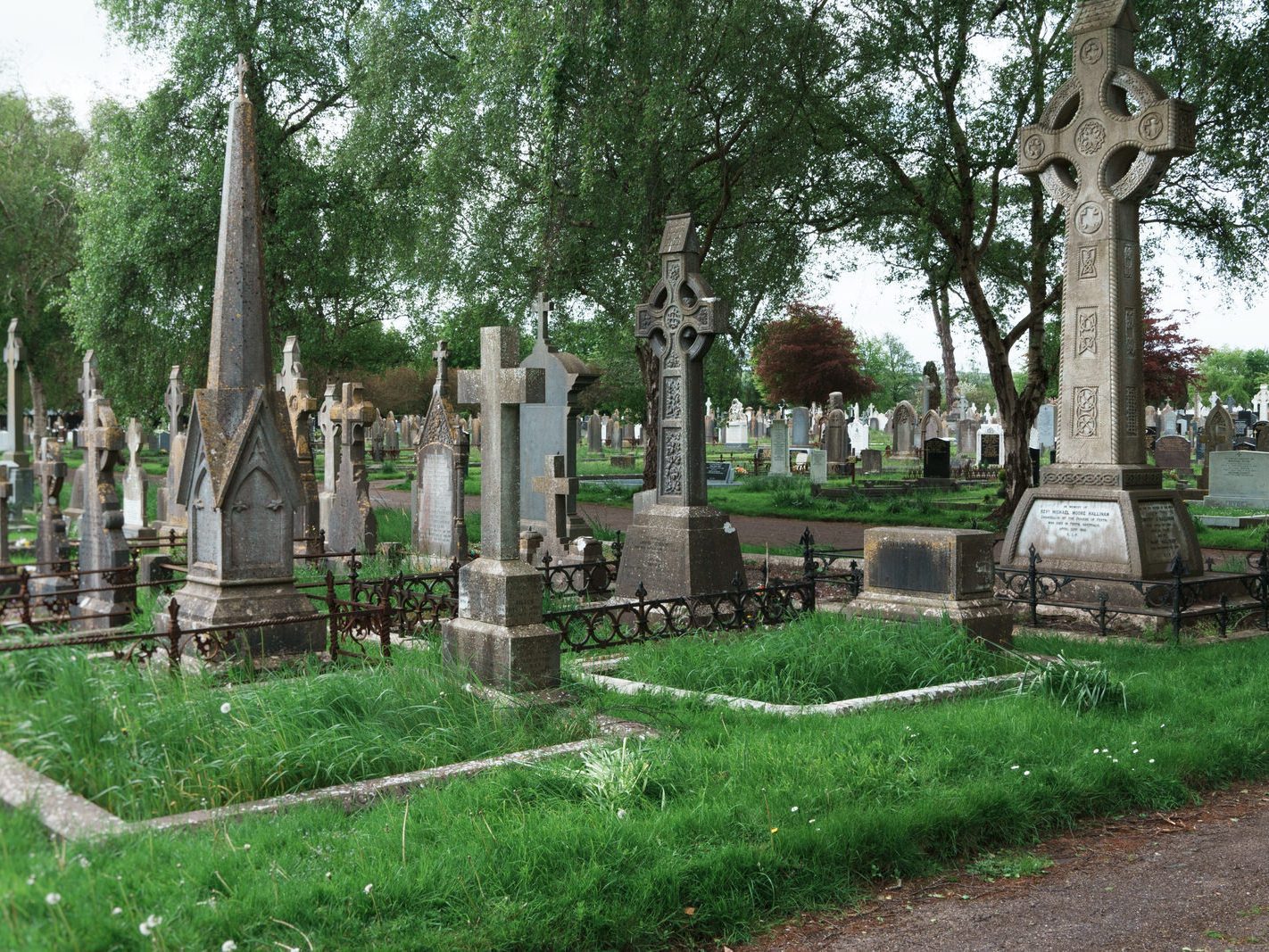 EXAMPLES OF THE CELTIC CROSS [ST. FINBARR'S CEMETERY IN CORK CITY] 006