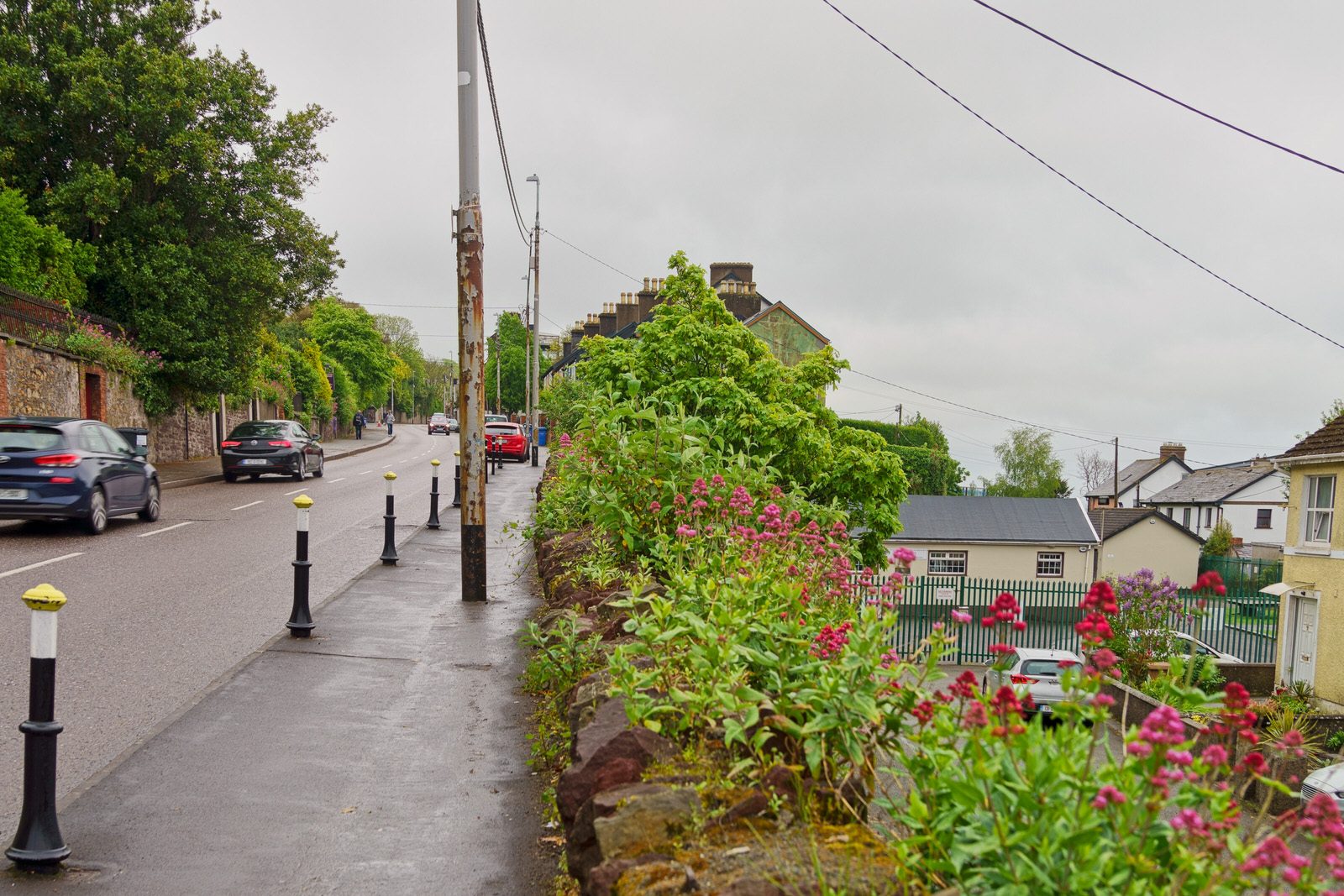 A WALK ALONG SUMMERHILL NORTH [IN CORK EVERYWHERE IS UPHILL OR DOWNHILL]-225786-1