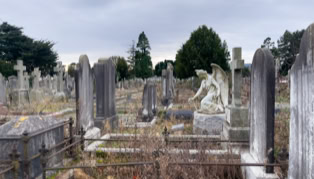 A cemetery with numerous weathered tombstones and a statue of an angel, surrounded by overgrown grass and trees in the background under a cloudy sky.