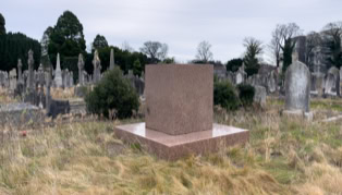 A cemetery with numerous gravestones and a prominent rectangular granite monument in the foreground, surrounded by overgrown grass and trees in the background.