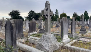 A cemetery with numerous gravestones and a prominent Celtic cross, surrounded by overgrown grass and trees in the background under a cloudy sky.