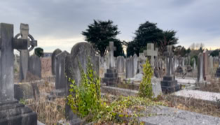 A cemetery with numerous tombstones, some overgrown with plants, under a cloudy sky.
