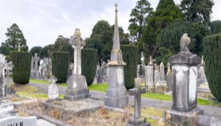 A cemetery with various tombstones and monuments, surrounded by trees and grass.