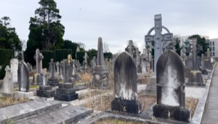 A cemetery with various tombstones and crosses, surrounded by trees and grass, under a cloudy sky.