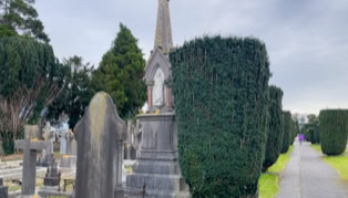 A cemetery with various tombstones and a tall monument, surrounded by neatly trimmed hedges and trees under a cloudy sky.