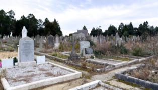 A cemetery with numerous gravestones and tombs, surrounded by trees under a cloudy sky.