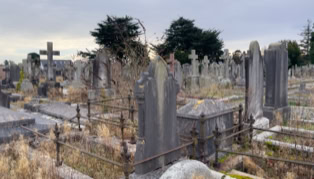 A cemetery with numerous old tombstones and overgrown grass, under a cloudy sky.