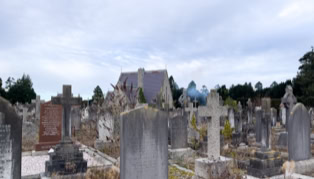 A cemetery with numerous gravestones and crosses, surrounded by overgrown grass and plants, under a cloudy sky.