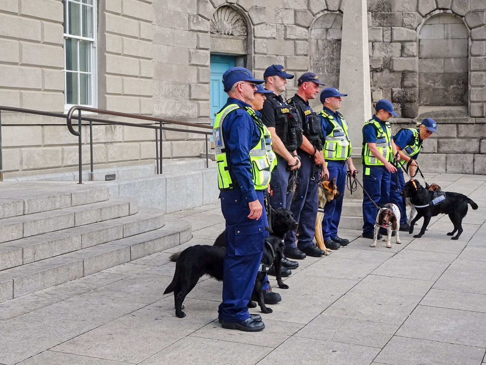 THE DOGS WHO WORK FOR THE IRISH CUSTOMS SERVICE [INVITED THE PRESS TO A PHOTO-SHOOT] 001

