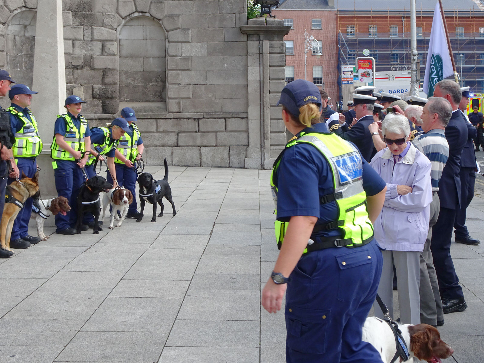 THE DOGS WHO WORK FOR THE IRISH CUSTOMS SERVICE [INVITED THE PRESS TO A PHOTO-SHOOT]
 002