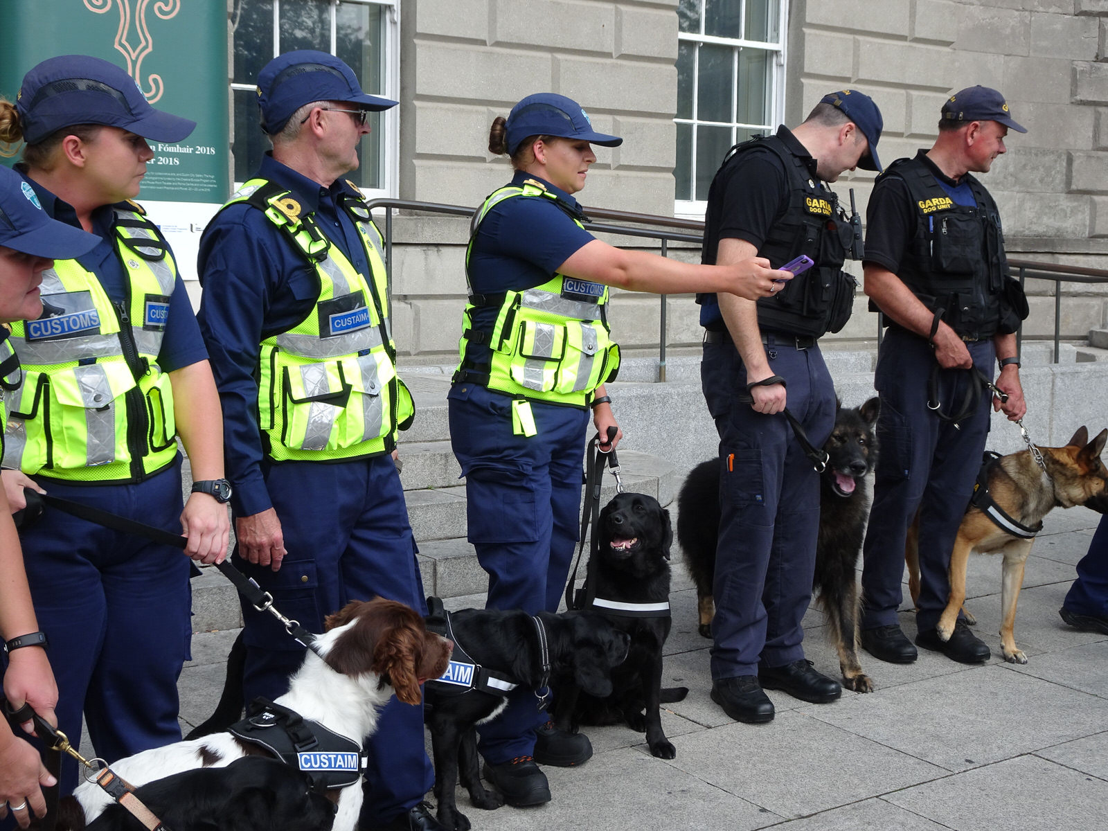 THE DOGS WHO WORK FOR THE IRISH CUSTOMS SERVICE [INVITED THE PRESS TO A PHOTO-SHOOT]
 003