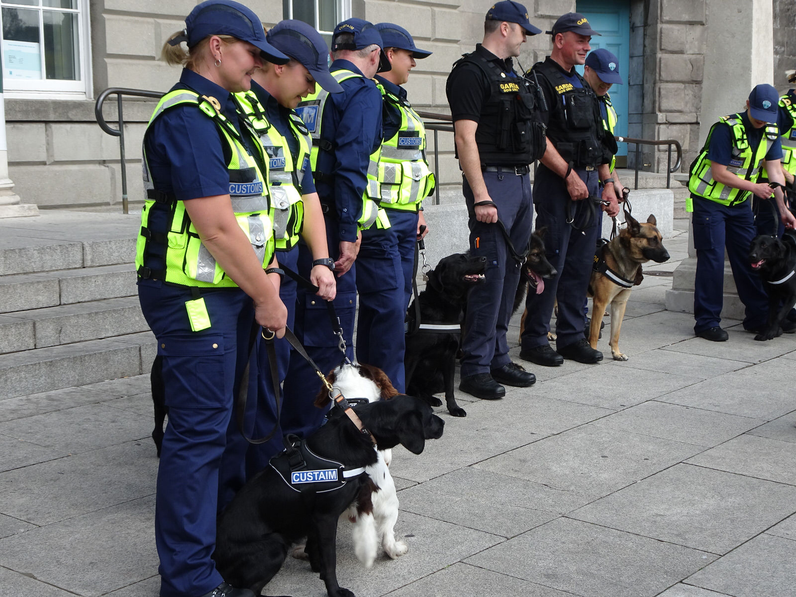 THE DOGS WHO WORK FOR THE IRISH CUSTOMS SERVICE [INVITED THE PRESS TO A PHOTO-SHOOT]
 004