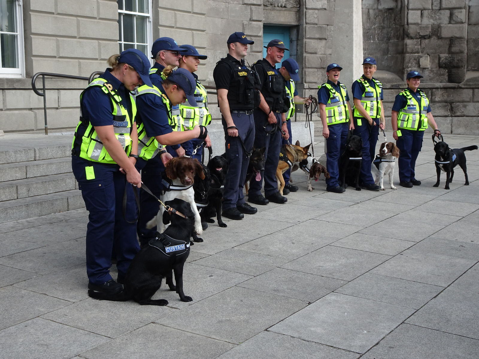 THE DOGS WHO WORK FOR THE IRISH CUSTOMS SERVICE [INVITED THE PRESS TO A PHOTO-SHOOT]
 005
