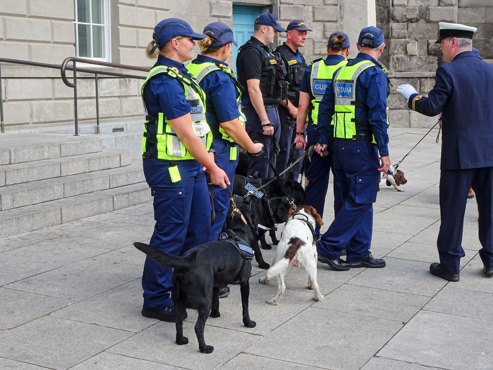 THE DOGS WHO WORK FOR THE IRISH CUSTOMS SERVICE [INVITED THE PRESS TO A PHOTO-SHOOT]
 007