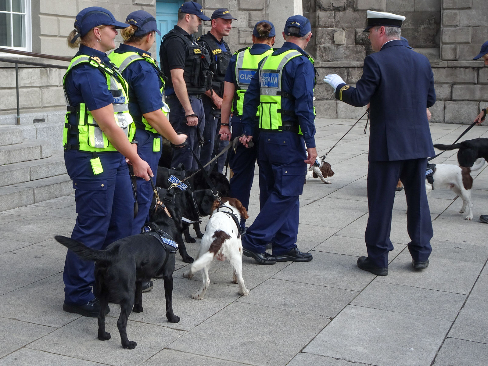 THE DOGS WHO WORK FOR THE IRISH CUSTOMS SERVICE [INVITED THE PRESS TO A PHOTO-SHOOT]
 008