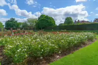 THE BELFAST BOTANIC GARDENS [PHOTOGRAPHED MAY 2017]-235417-1