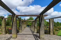 THE BELFAST BOTANIC GARDENS [PHOTOGRAPHED MAY 2017]-235421-1
