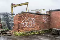 THE DOMINATING CRANES OF BELFAST [SAMSON AND GOLIATH]-235508-1