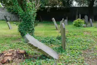 MY FIRST VISIT TO GOLDENBRIDGE CEMETERY [MAY 2017]-237414-1