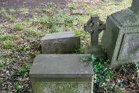 MY FIRST VISIT TO GOLDENBRIDGE CEMETERY [MAY 2017]-237418-1