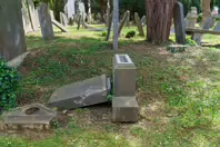 MY FIRST VISIT TO GOLDENBRIDGE CEMETERY [MAY 2017]-237441-1