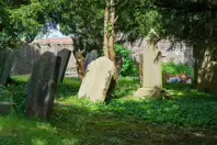 MY FIRST VISIT TO GOLDENBRIDGE CEMETERY [MAY 2017]-237465-1