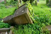 UNEARTHING YOUR IRISH ROOTS IN KILKENNY [A JOURNEY THROUGH ST JOHN'S CEMETERY]-245283-1