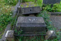 UNEARTHING YOUR IRISH ROOTS IN KILKENNY [A JOURNEY THROUGH ST JOHN'S CEMETERY]-245302-1