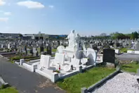ST KIERAN'S CEMETERY HEBRON ROAD IN KILKENNY [2017 LEGACY PHOTO COLLECTION]-245446-1