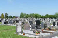 ST KIERAN'S CEMETERY HEBRON ROAD IN KILKENNY [2017 LEGACY PHOTO COLLECTION]-245448-1