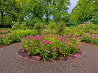IVEAGH GARDENS [ONCE PRIVATELY OWNED BUT NOW OPEN TO THE PUBLIC]-244010-1