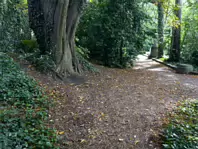 IVEAGH GARDENS [ONCE PRIVATELY OWNED BUT NOW OPEN TO THE PUBLIC]-244022-1