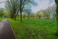 THE PEOPLE'S PARK IN LIMERICK [LOST ITS BEEBEE TREE IN 2013]-244609-1