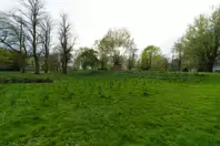 THE PEOPLE'S PARK IN LIMERICK [LOST ITS BEEBEE TREE IN 2013]-244611-1