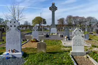 WHEN I VISITED IN APRIL 2022 THE YEW TREES HAD BEEN REMOVED [THE HIGH CROSS AT THE REPUBLICAN PLOT]-244647-1
