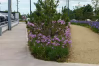 MY AUGUST 2022 VISIT TO LOWER KILMACUD ROAD [STILLORGAN VILLAGE AREA]-243752-1