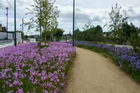MY AUGUST 2022 VISIT TO LOWER KILMACUD ROAD [STILLORGAN VILLAGE AREA]-243755-1