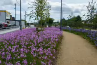 MY AUGUST 2022 VISIT TO LOWER KILMACUD ROAD [STILLORGAN VILLAGE AREA]-243756-1