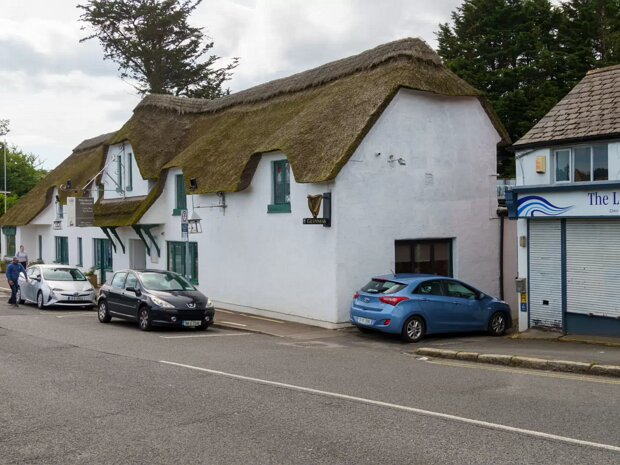 STILLORGAN ORCHARD AUGUST 2022