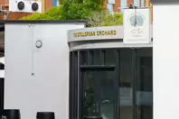 THE STILLORGAN ORCHARD [THE HILL STILLORGAN]-243772-1