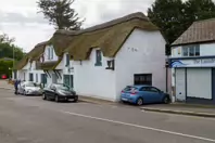 THE STILLORGAN ORCHARD [THE HILL STILLORGAN]-243781-1