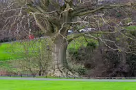 THE PEOPLES FLOWER GARDEN [PHOENIX PARK 30 DECEMBER 2024]-245931-1