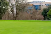 THE PEOPLES FLOWER GARDEN [PHOENIX PARK 30 DECEMBER 2024]-245933-1