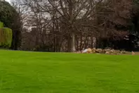 THE PEOPLES FLOWER GARDEN [PHOENIX PARK 30 DECEMBER 2024]-245938-1