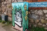 PAINT-A-BOX STREETART BY BLU HERON DESIGN [LOWER KIMMAGE ROAD D6]-245868-1