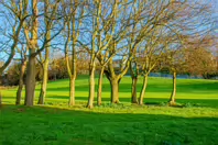 CHURCH LANE AND WOODVIEW COTTAGES [AS WELL AS RATHFARNHAM MILL]-245598-1