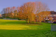 CHURCH LANE AND WOODVIEW COTTAGES [AS WELL AS RATHFARNHAM MILL]-245600-1